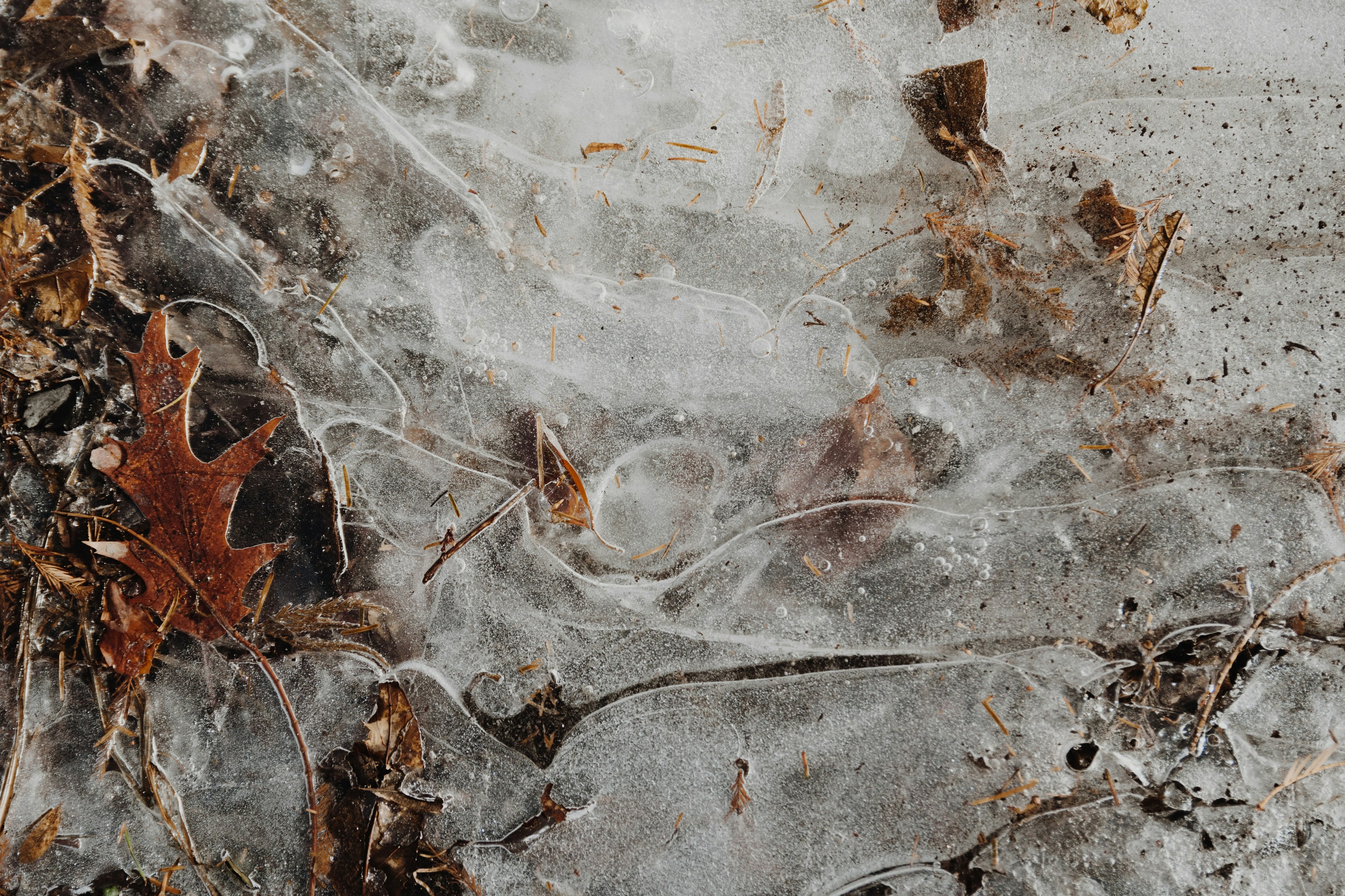 구성원 퇴사 시 파일 소유권 이전 처리법