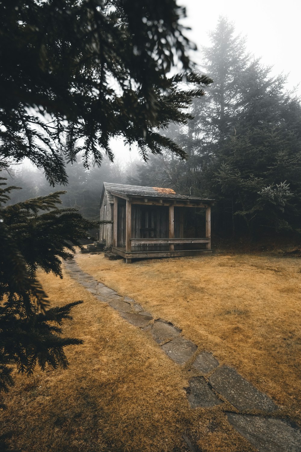 brown wooden shed in front of green leafed trees during daytime