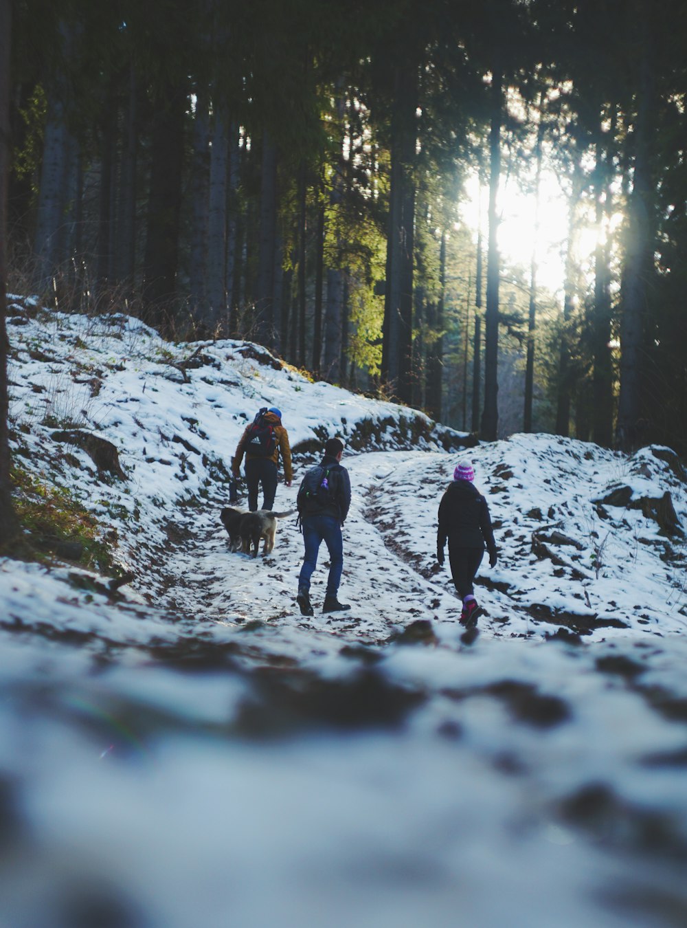 Tre persone che camminano sulla montagna innevata durante il giorno