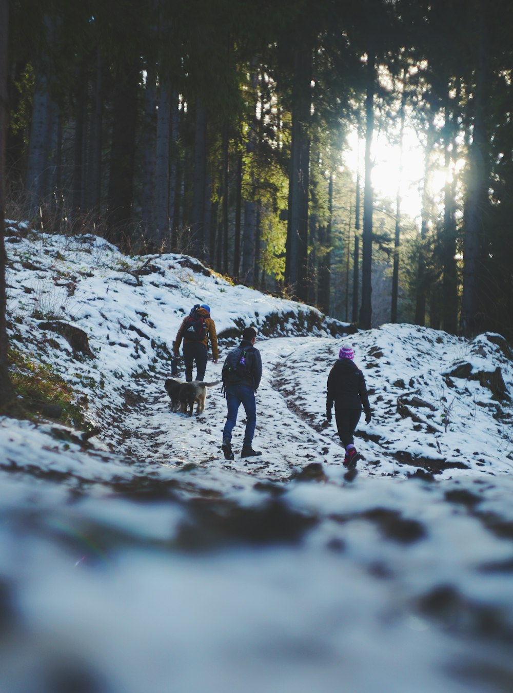昼間の雪山を歩く3人組