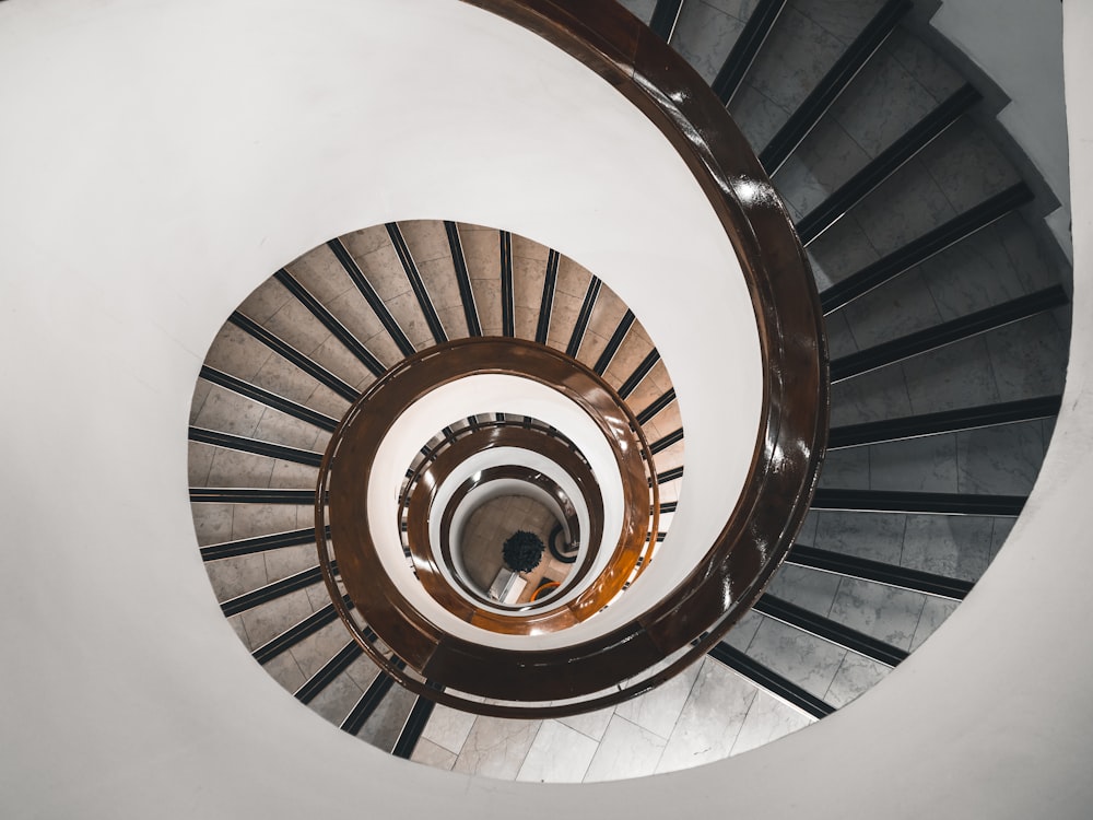 photography of stairs