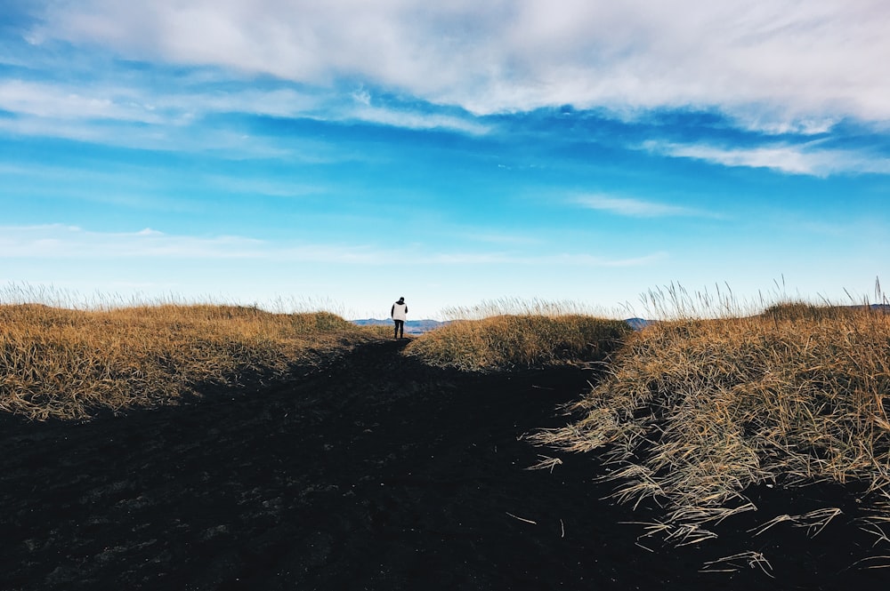 Persona in piedi sul campo di erba verde sotto il cielo nuvoloso blu e bianco durante il giorno