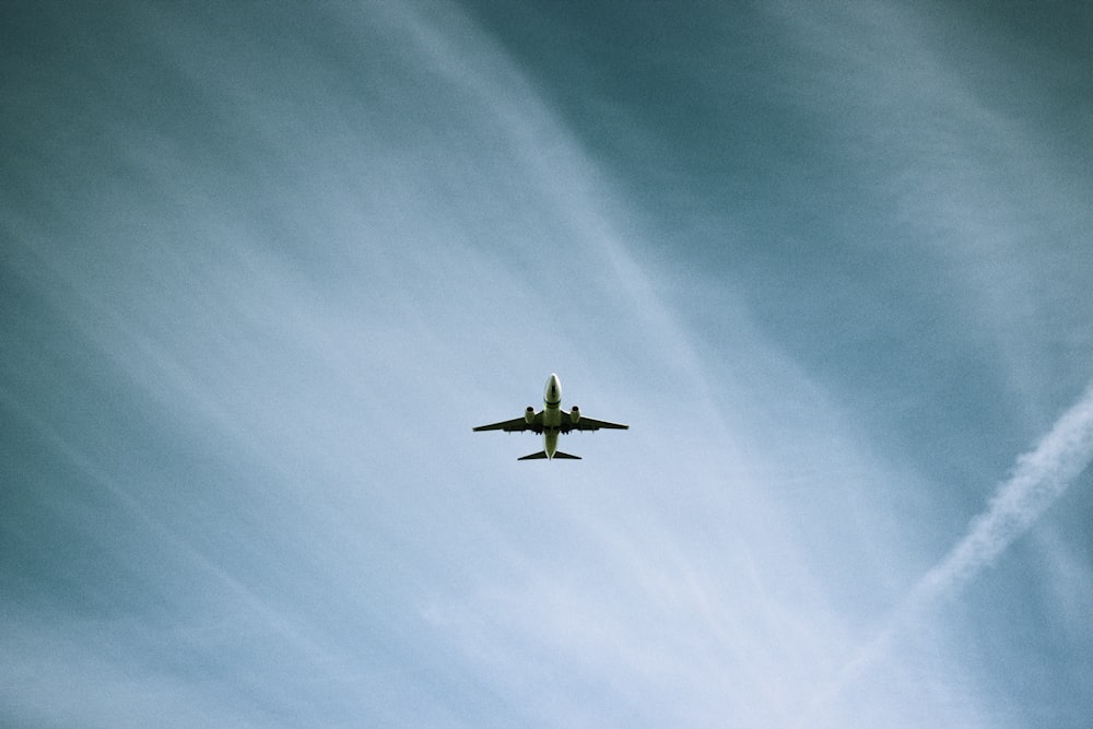 青空の下を飛ぶ白い飛行機