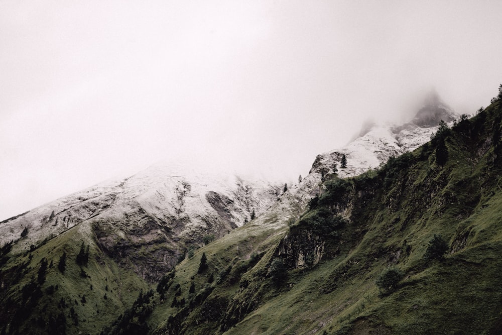 white and green glacier mountain