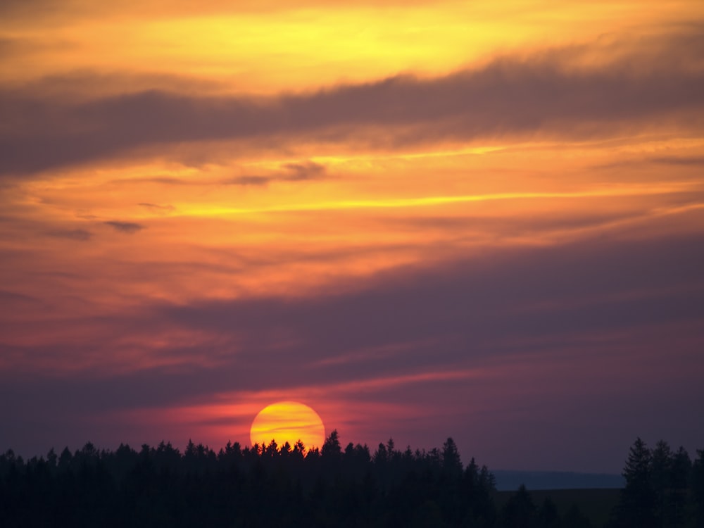 森のシルエットに沈む夕日