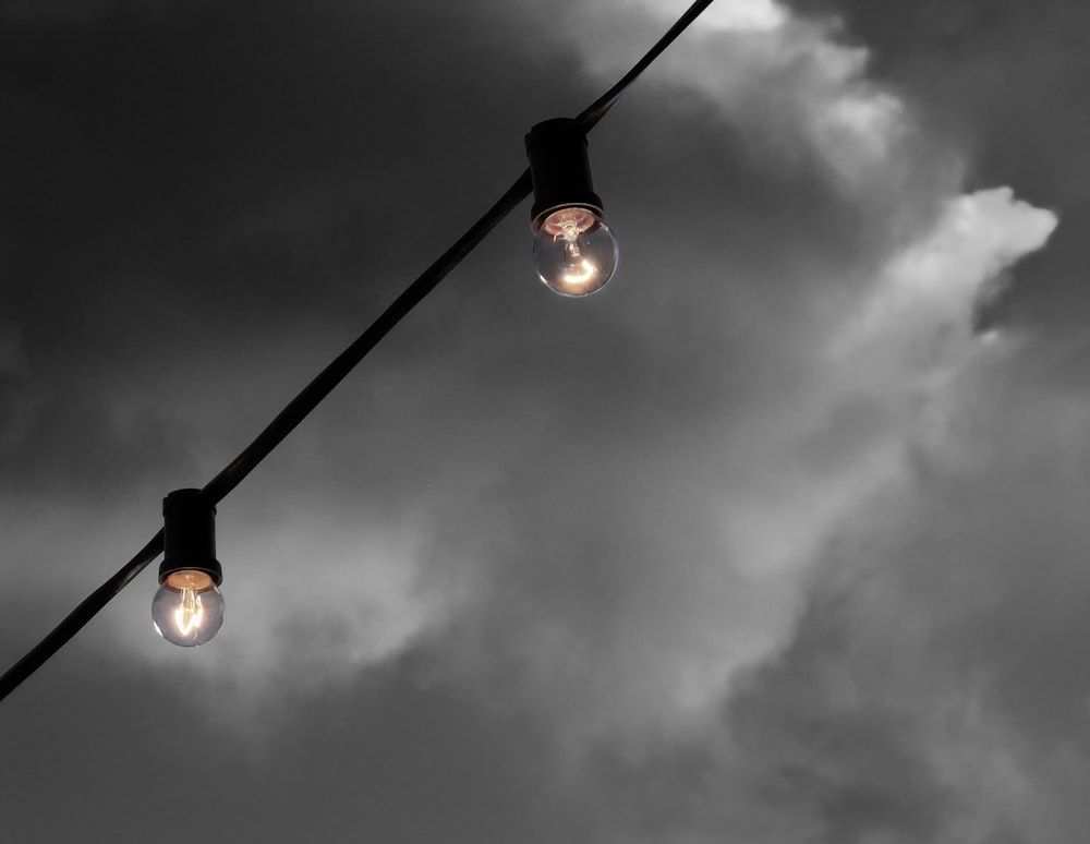 fotografia in scala di grigi di due lampadine