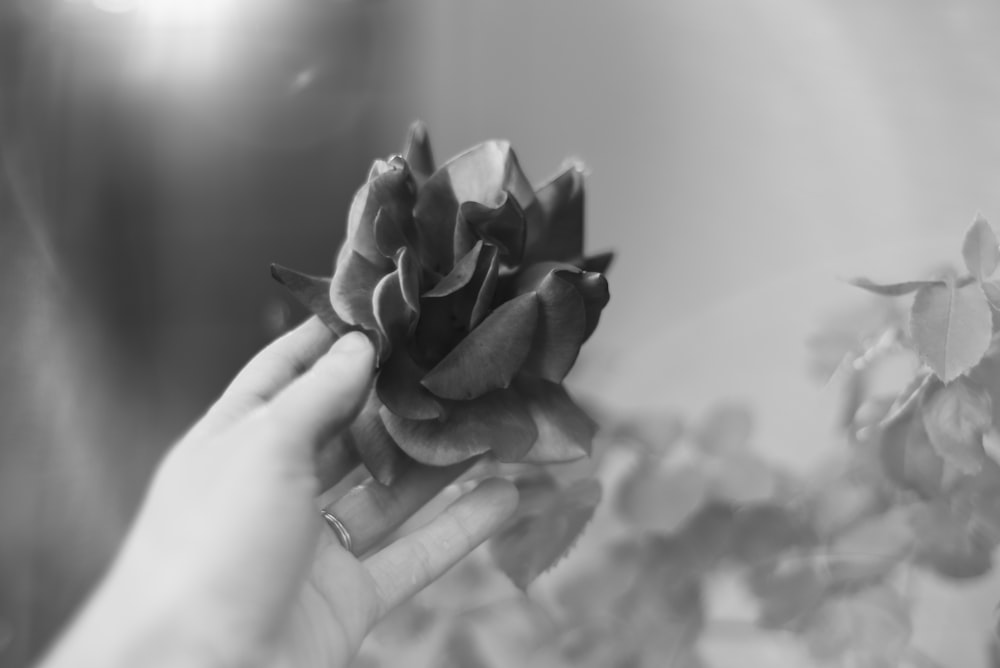 grayscale photo of flower