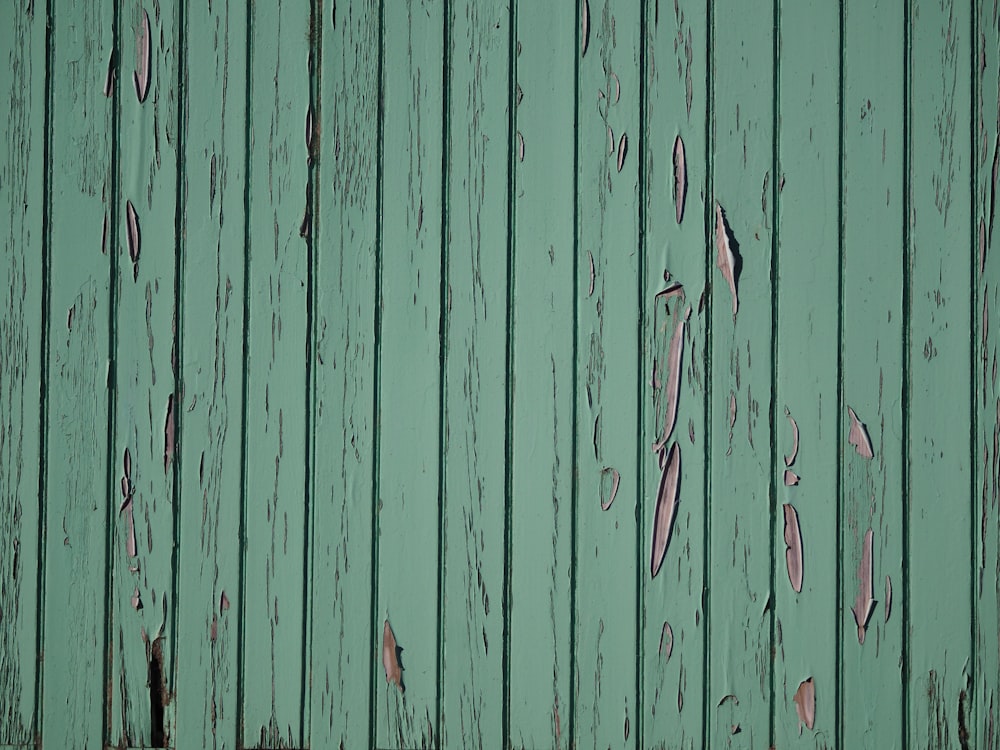 pared de madera verde