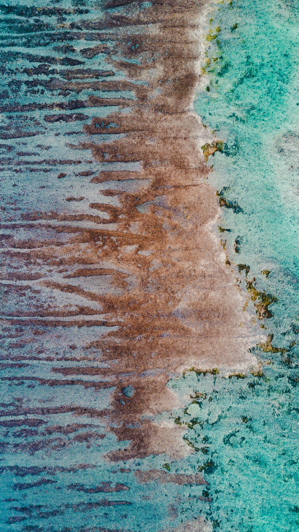 a sandy beach with blue water and brown sand