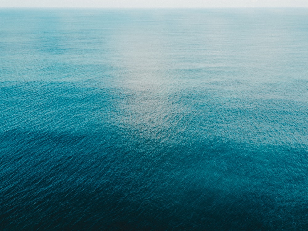 aerial view of bodies of water