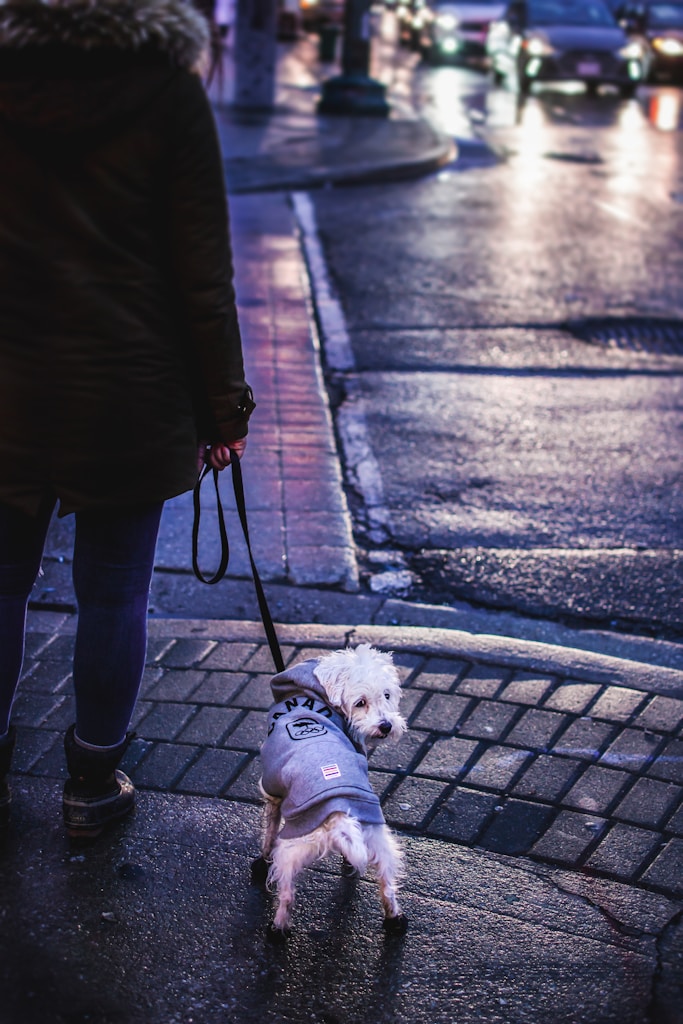 Bright Day Raincoat