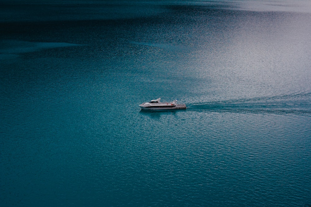 aerial view photography cruise ship