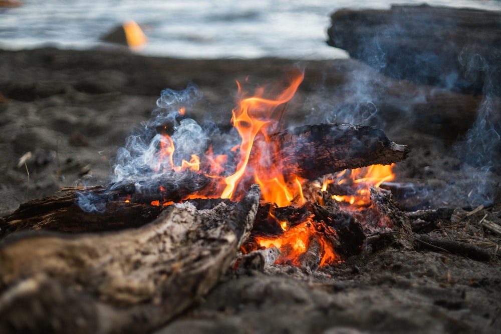 bonfire on focus photography