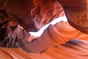 Grand Canyon Antellope