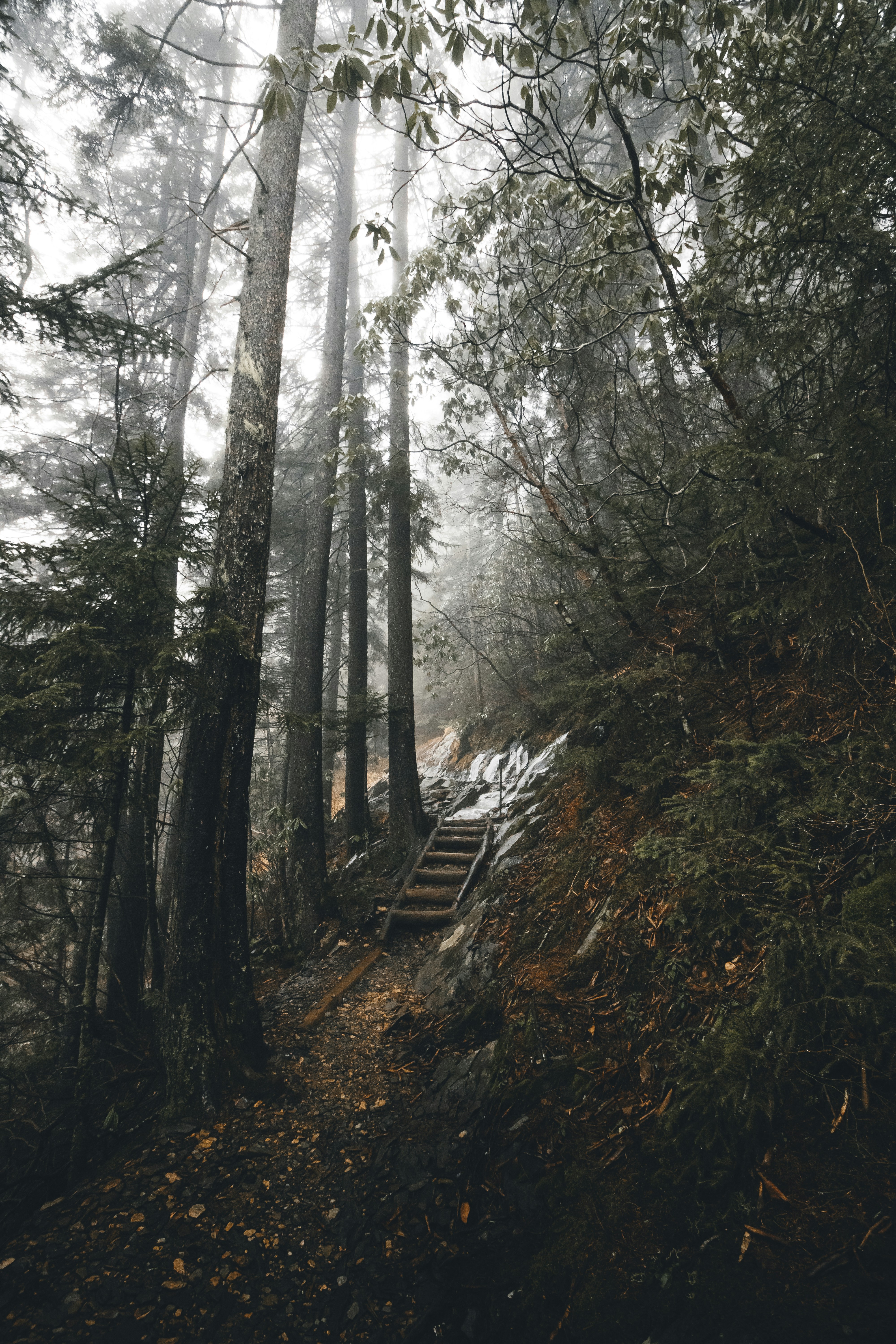 photo-1517290492657-fe4faef9fd2a?ixid=M3