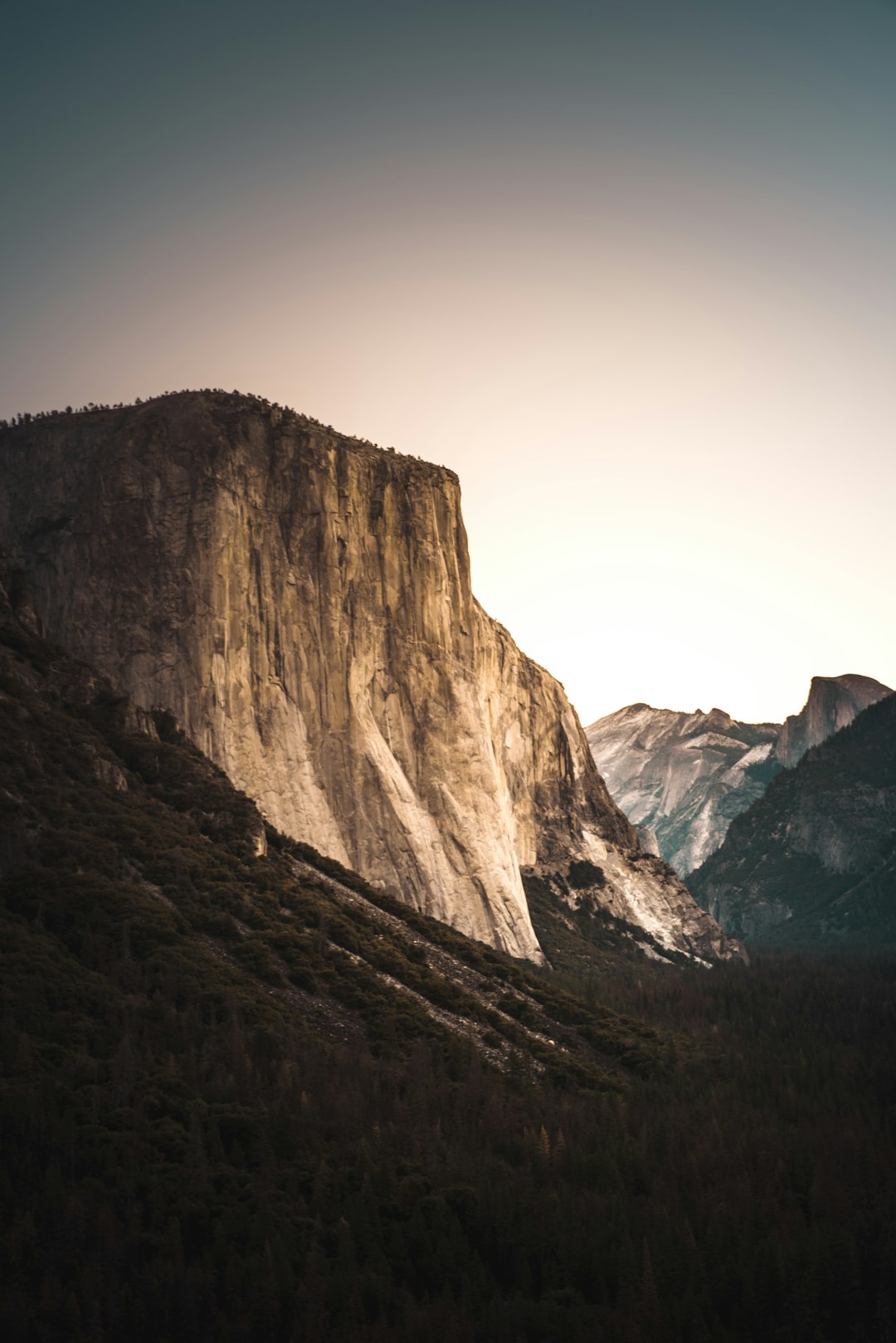 landscape of mountain near trees