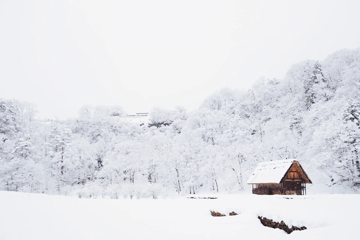 Warm interior beside a winter window