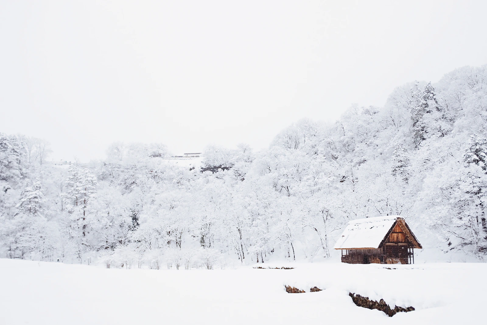 Sapporo Hokkaido winter snow festival and snowy city