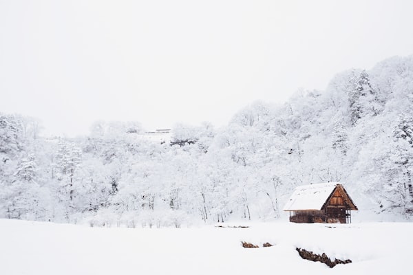 Kobayashi Issa, "[the snow is melting]"