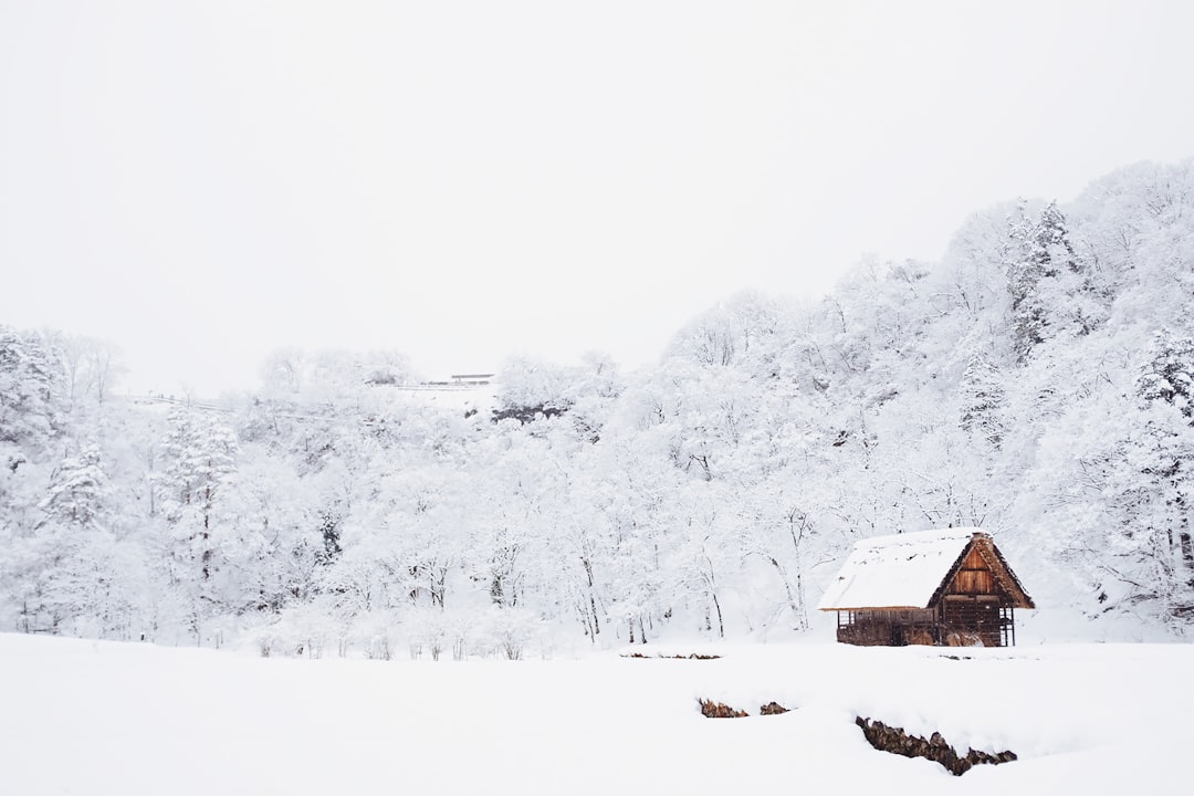 Winter Wonderland in Shirakawa, Japan