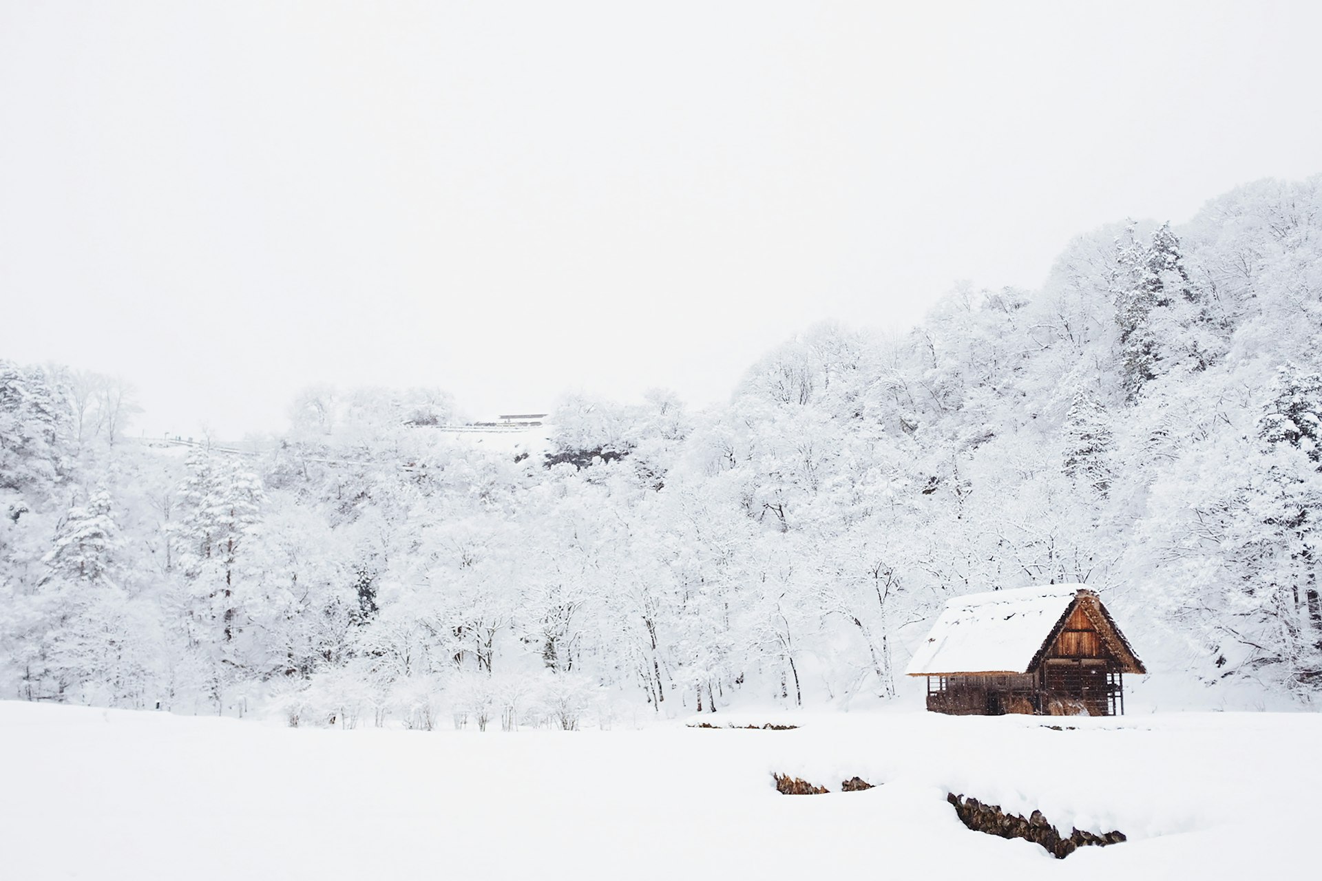 Snowmobile-In Cabins in Wyoming: What 'No Plow Service' Really Means