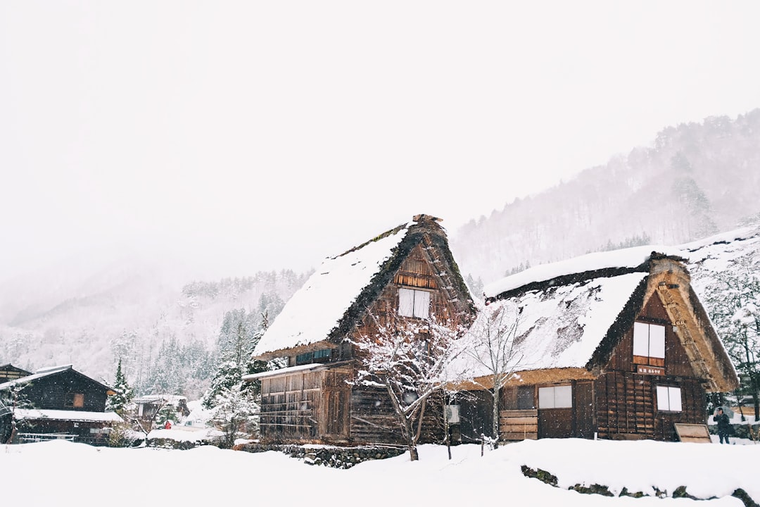 photo of Shirakawa Ski resort near Japanese Alps