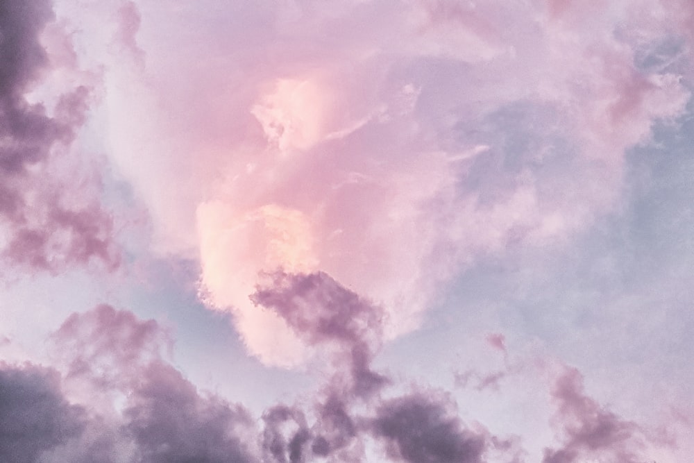 보라색 하늘의 로우 앵글 사진