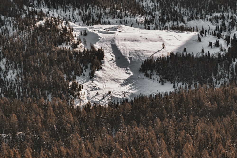 aerial photography of mountain covered by snow near trees