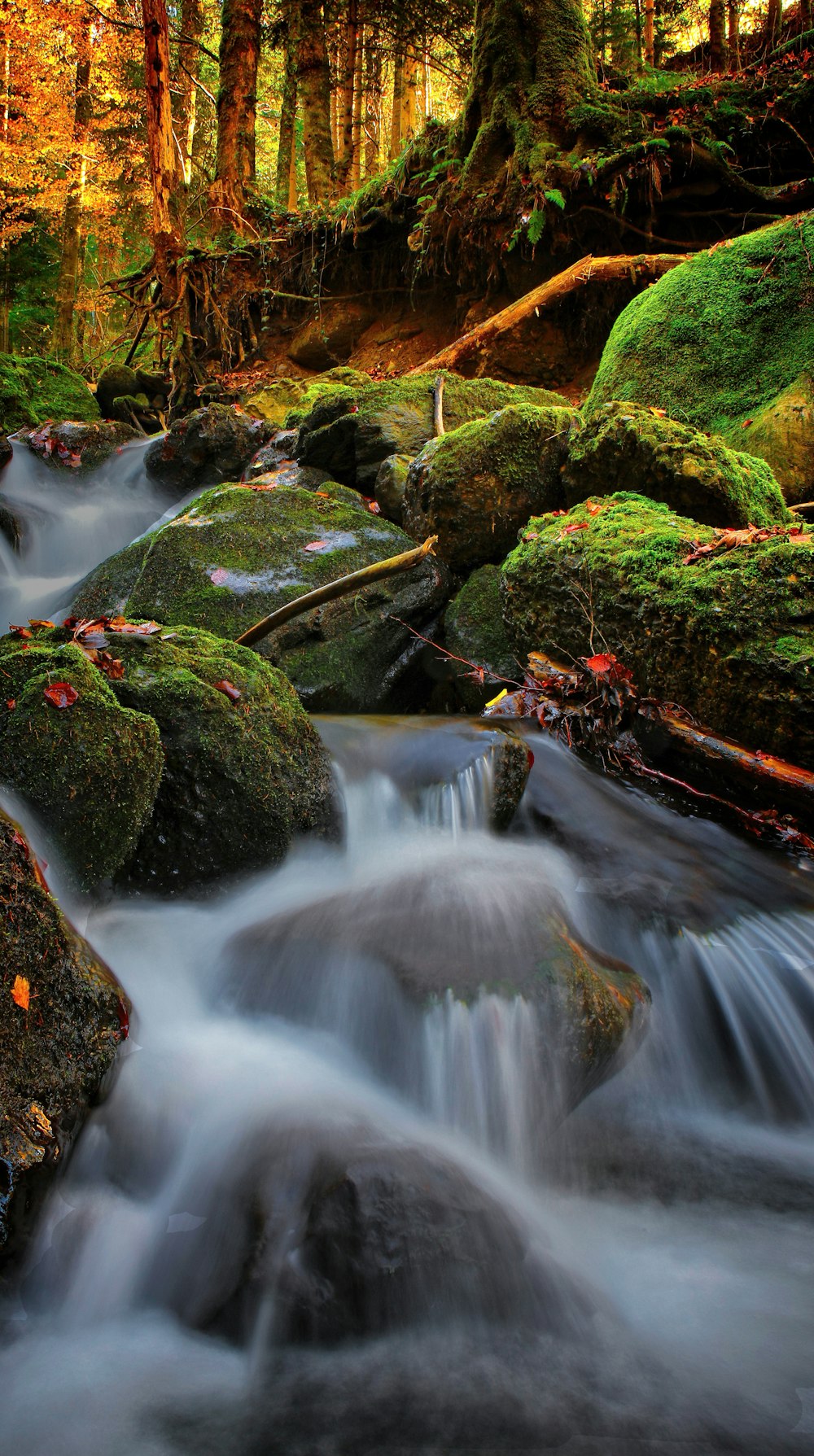 raging river