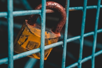 brown padlock photography