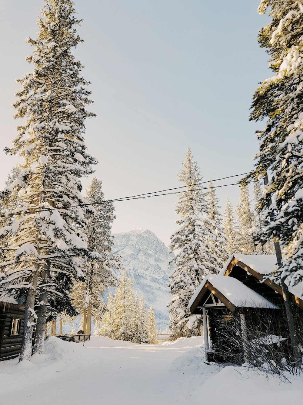 Haus und Bäume, die tagsüber mit Schnee bedeckt sind