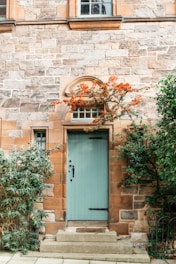 blue wooden door beside green plants