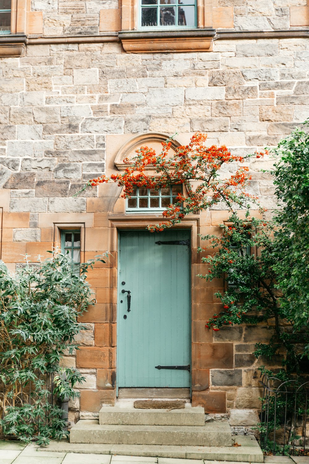 Porte en bois bleu à côté des plantes vertes