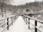 A snow-covered walkway with clear paths after a recent plow, framed by winter trees.