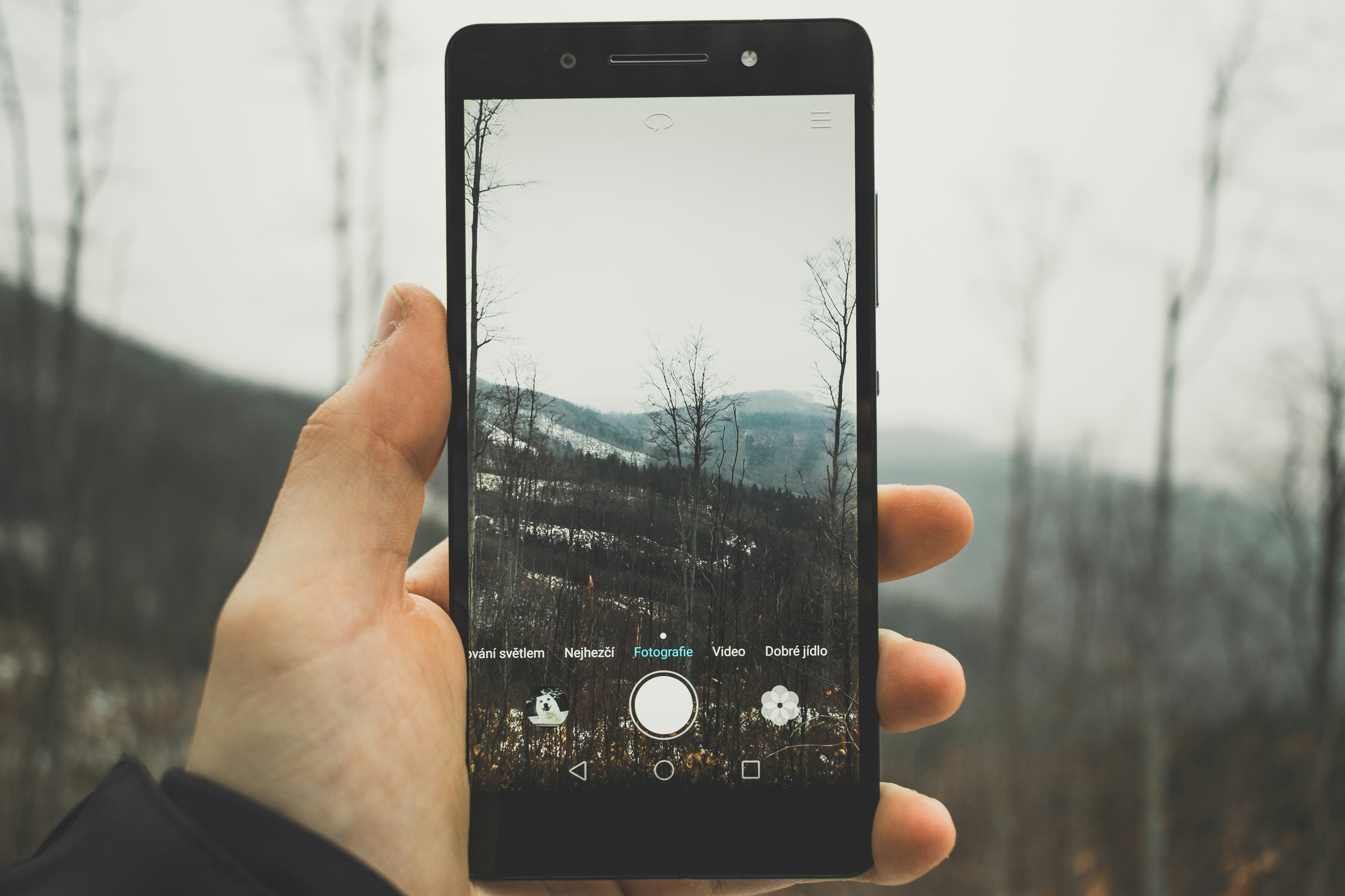 person holding black android smartphone taking picture to bare trees czechia zoom background