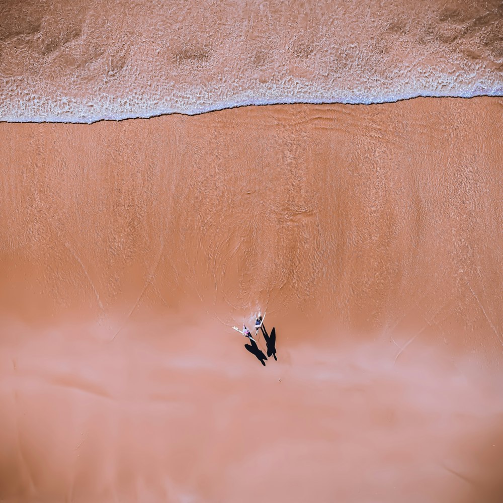 fotografia aérea de casal caminhando à beira-mar