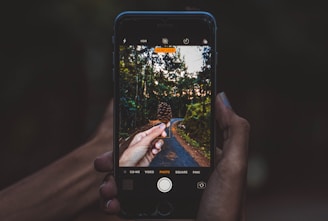 A hand holding a smartphone, capturing a photograph of a forest path. The smartphone's screen displays a close-up of a pinecone in the hand, set against the backdrop of tall trees and a winding path. The actual scene outside the phone and the image on the phone screen are aligned, creating a focus on nature and photography.
