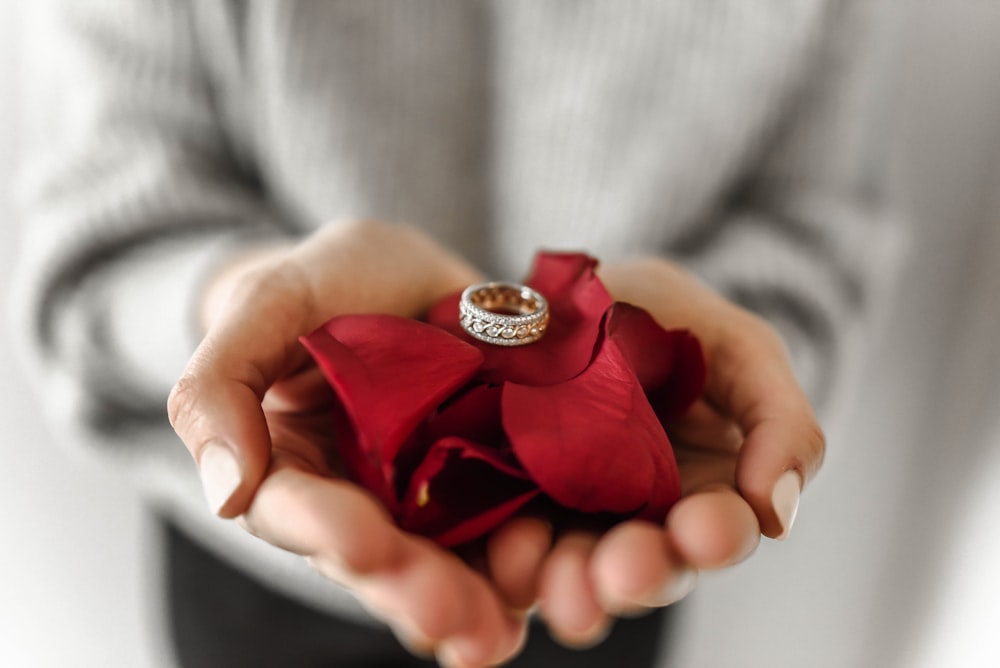 person holding red petaled flower and silver-colored ring