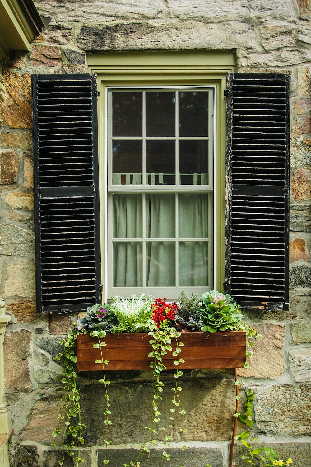 photo of window opened with red and pink petaled flowers decor