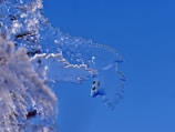 A close-up of a crystal-clear ice igloo structure showcasing intricate carving details.