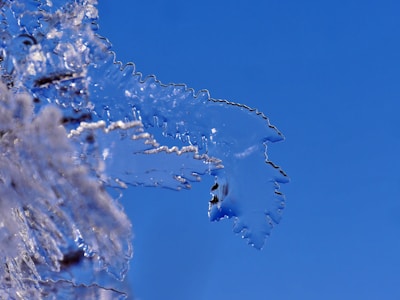 A close-up of a crystal-clear ice igloo structure showcasing intricate carving details.
