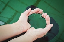 person holding green liquid closeup photoghraphy
