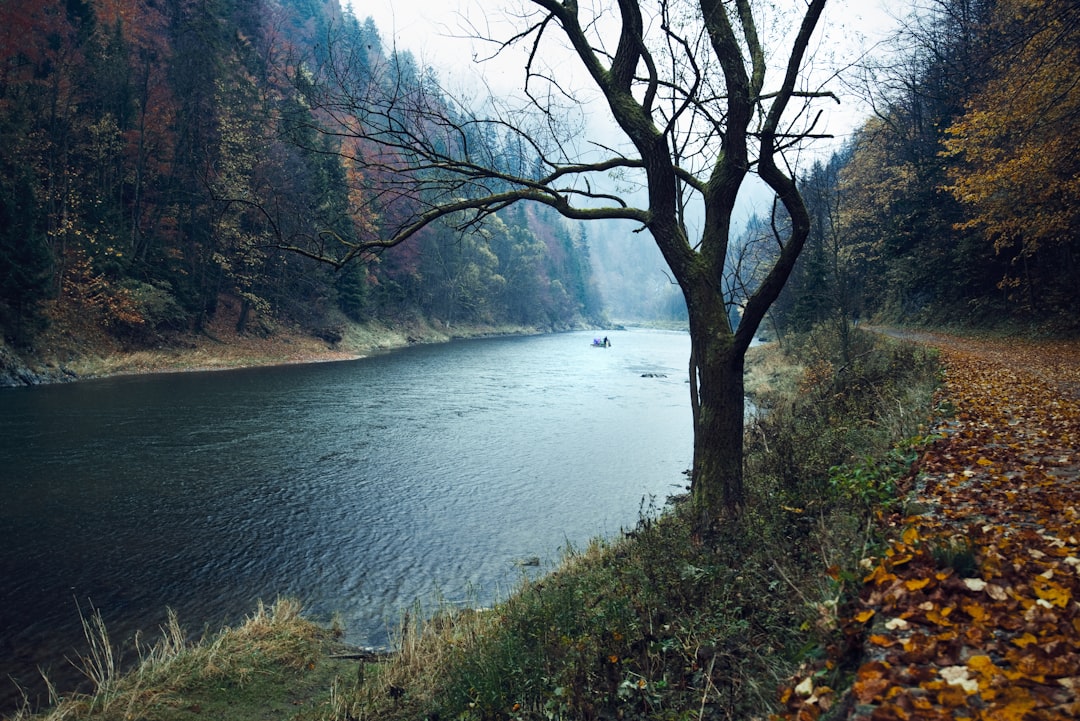 River photo spot Pieniny National Park Jasov