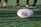 Close-up of rugby boots and a ball on green grass.