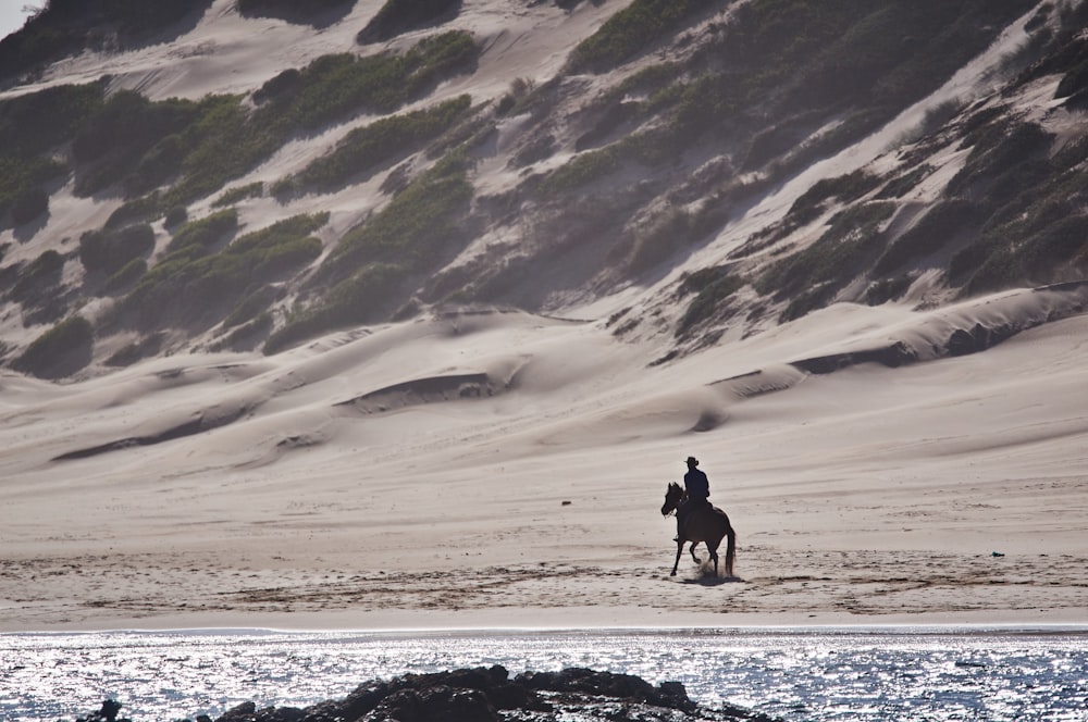 person riding a horse in a beach