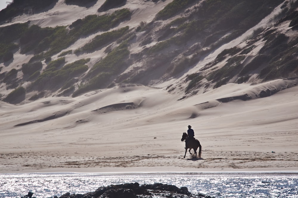 pessoa montando um cavalo em uma praia