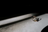 A pair of intertwined constellation rings glowing gently in warm natural light.