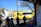 A busy urban street scene features a bright yellow bus labeled 'transborde' surrounded by several pedestrians. The background contains a commercial building with colorful signs, while trees and a lamppost are visible. The sunlight casts shadows, creating a vibrant and lively atmosphere.