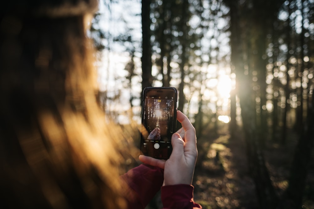 person taking photo in forest