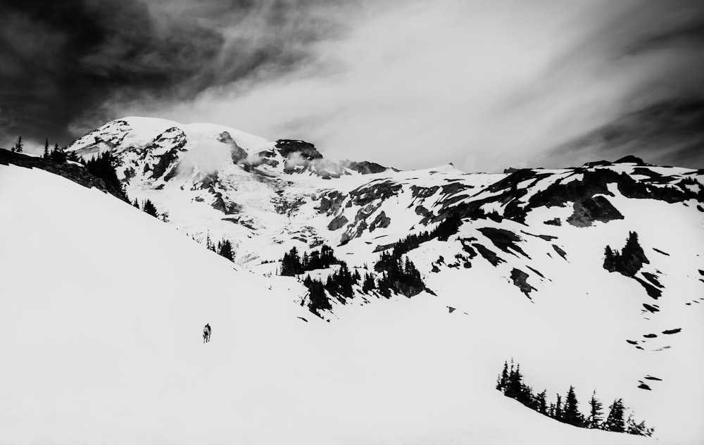 person on snow covered field